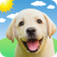 Weather Puppy - App &
Widget Weather
Forecast