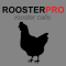 Rooster Sounds & Chicken Sound