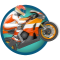 Racer: Superbikes
