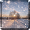 Winter Snow Live Wallpaper HD