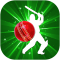 Cricket League (BPL, Big bash)