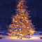 3D Christmas Live Wallpaper