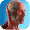 Anatomy Game Anatomicus Pro