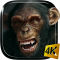 Talking Monkey Live Wallpaper