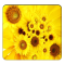 Sunflower Wallpapers