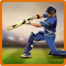 CricAstics 3D Multiplayer Cricket Game