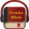 Swedish Holy Bible