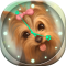 Puppies Analog Clock Widget