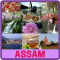 Assam News & FM Radio!
