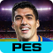 PES COLLECTION