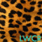 leopard print live wallpaper