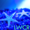 starfish live wallpaper