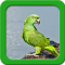 Parrot Live Wallpapers