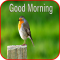 Good Morning 3D Images 2020