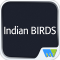 Indian BIRDS