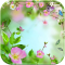 Blossom flower Theme