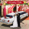 Luxury Wedding Limousin Game