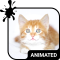 Kitty Cat Animated Keyboard + Live Wallpaper