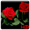 Red Rose APUS Live Wallpaper