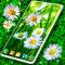 3D Daisy Live Wallpaper Spring Field Themes