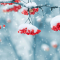 Beautiful Winter Live Wallpaper