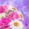 Flowers Live Wallpaper