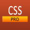 CSS Pro Quick Guide