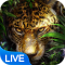 Leopard Live Wallpaper