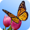 Butterfly Garden 3D Wallpaper