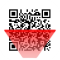 QR Code Scanner