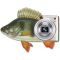 MP Fishing Photo Widget