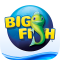 Big Fish Games App