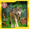 Wild Animal Hunt : Jungle