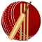 Cricket Language &Terminology