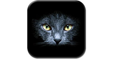 검은 고양이라이브 배경 화면 로 무료 다운로드 - BlackCatsLiveWallpaperApp