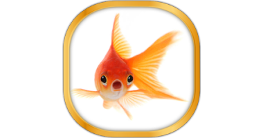 金魚ライブ壁紙 による無料ダウンロード Goldfishlivewallpaperbest